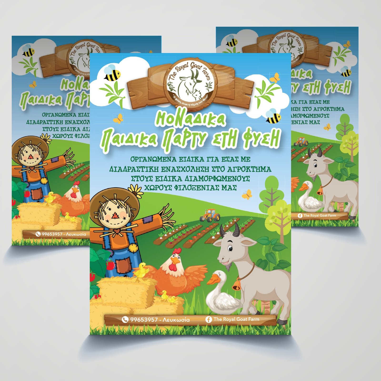 Royal Goat Farm children's party flyer design, full colour print
